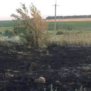 У Літинському районі сапери ДСНС знищили артилерійський снаряд