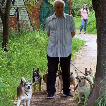 У Вінниці помер пенсіонер, який тримав у квартирі 11 собак. Зооактивісти кажуть - побили