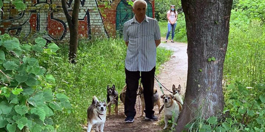 У Вінниці помер пенсіонер, який тримав у квартирі 11 собак. Зооактивісти кажуть - побили