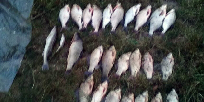 У Немирівському районі у рибалки вилучили п’ять заборонених знарядь лову