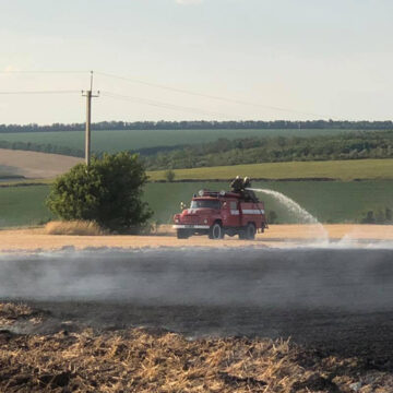 За добу на Вінниччині загасили 12 пожеж в екосистемах