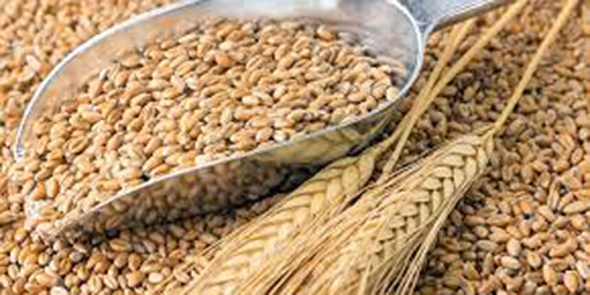 Перший мільйон: на Вінниччині намолотили тонну зерна з урожаю 2020 року