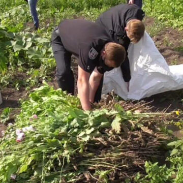 Поліцейські виявили посів маку на присадибній ділянці хмільничанки