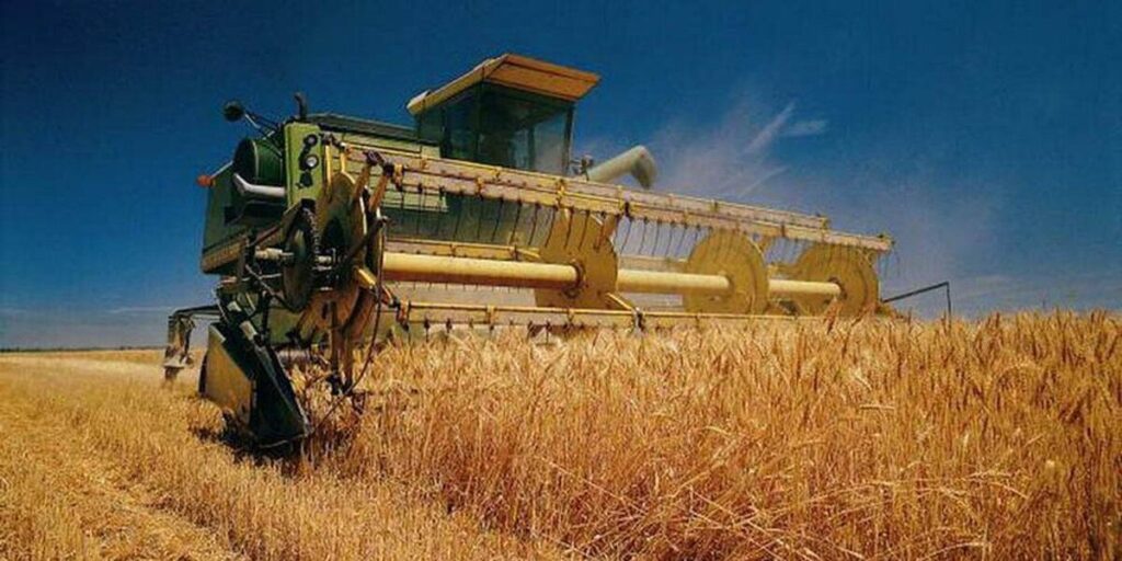 На Вінниччині розпочалися жнива ранніх зернових культур