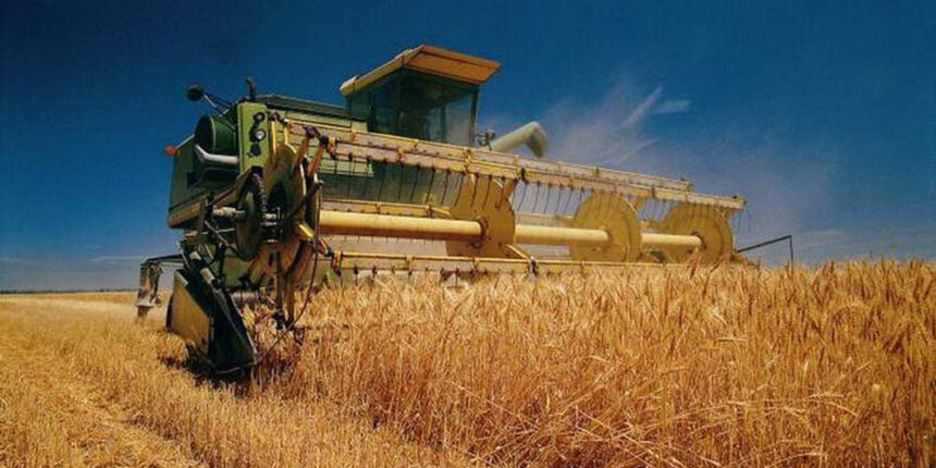 На Вінниччині розпочалися жнива ранніх зернових культур