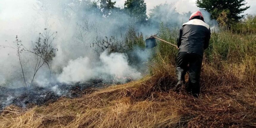 На Вінниччині за добу тричі  горіла суха трава