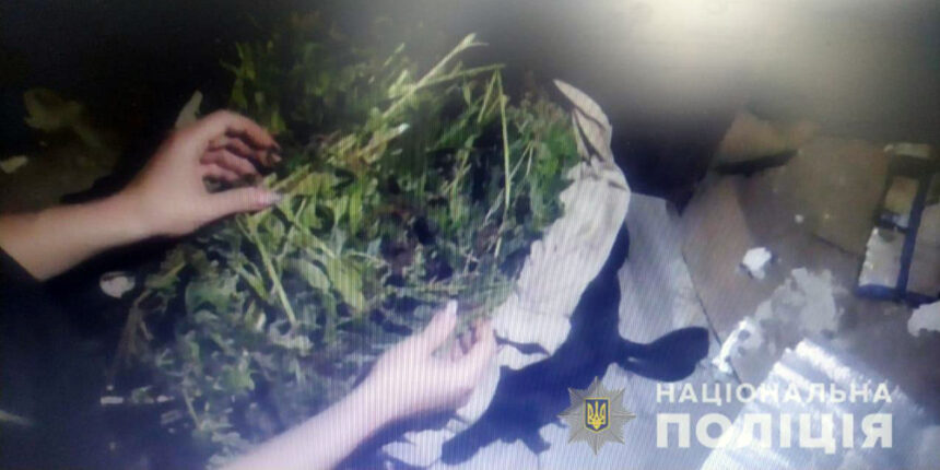 У Жмеринському районі поліцейські вилучили біля кілограма канабісу