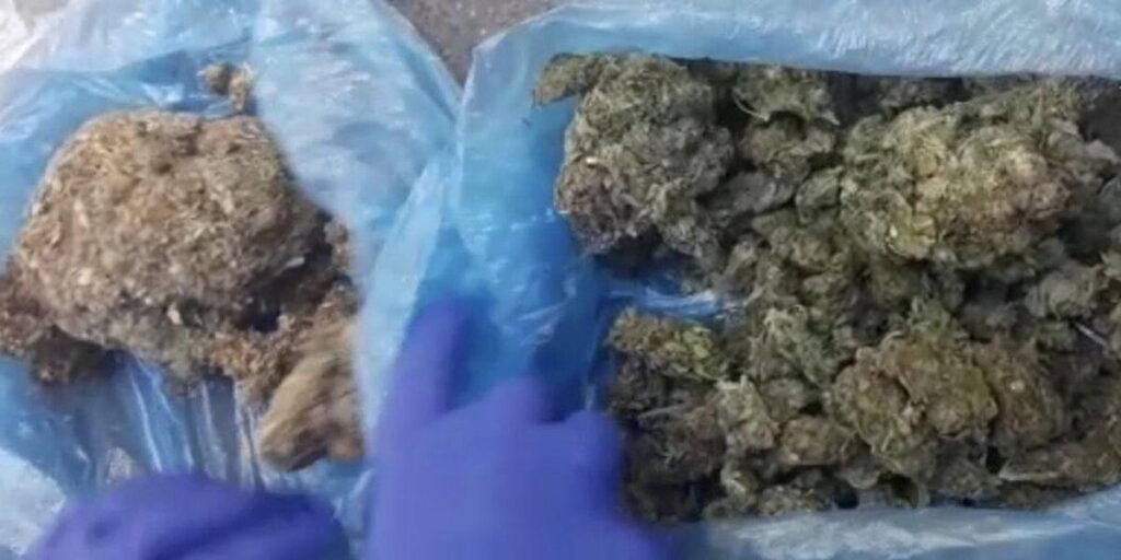 Поліцейські вилучили у вінничанина понад 400 грамів канабісу