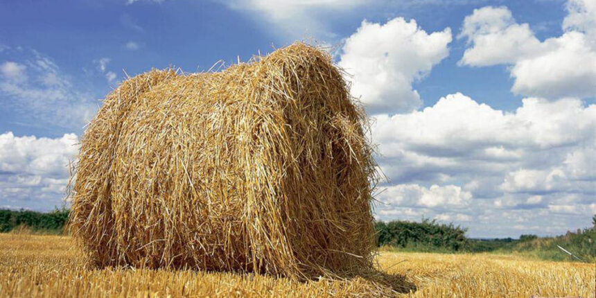 Під Вінницею влаштовують унікальні перегони на покосах