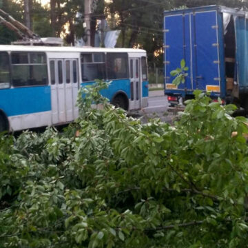 У Вінниці рятувальники прибирали з дороги повалене вітром дерево