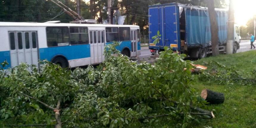 У Вінниці рятувальники прибирали з дороги повалене вітром дерево