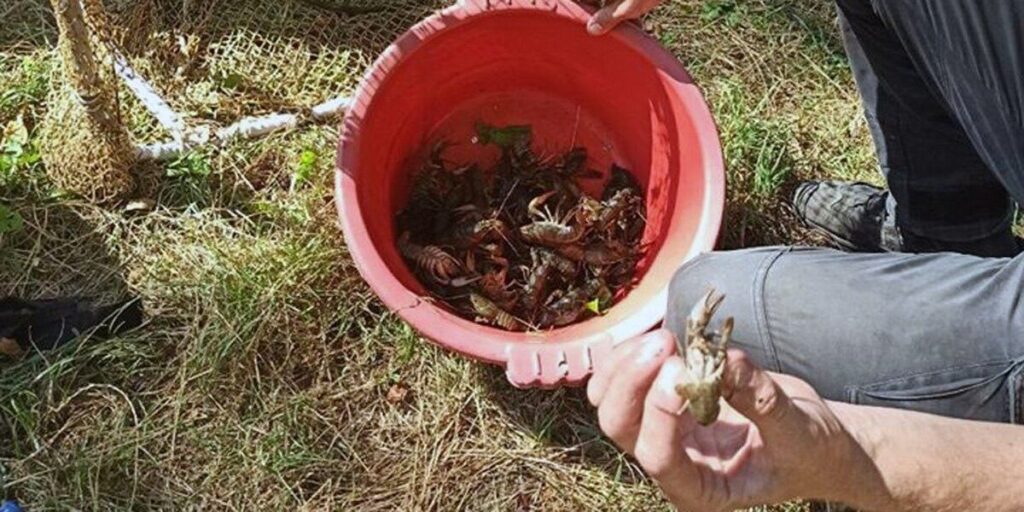 У Немирівському районі порушник здійснював лов раків забороненим знаряддям