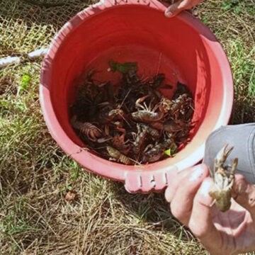 У Немирівському районі порушник здійснював лов раків забороненим знаряддям
