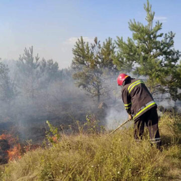 За добу на Вінниччині ліквідували дванадцять пожеж в екосистемах
