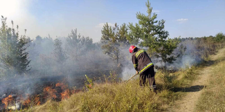 За добу на Вінниччині ліквідували дванадцять пожеж в екосистемах