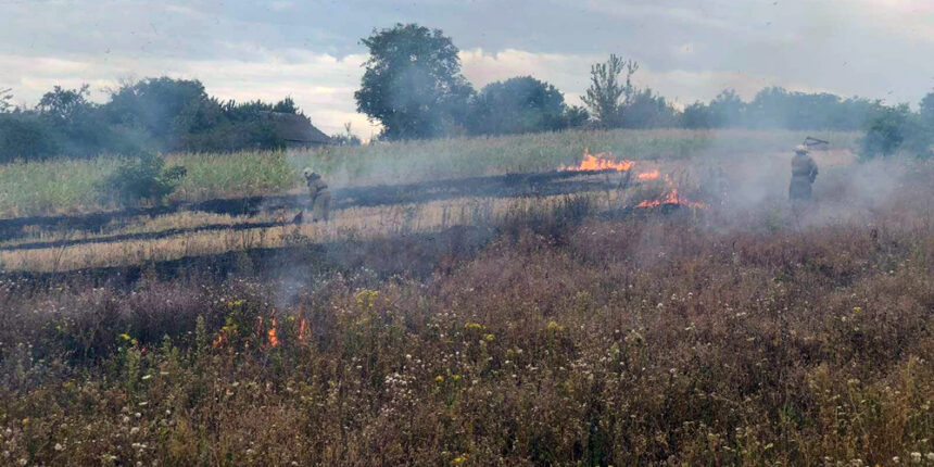 За добу на Вінниччині ліквідували вісім пожеж в екосистемах
