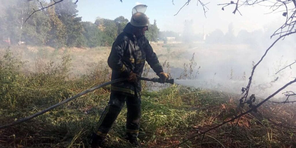 У Козятинському районі під час загоряння сухої рослинності опіки отримав місцевий мешканець