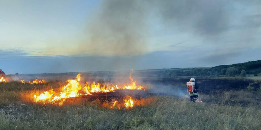 За добу на Вінниччині ліквідовано 37 пожеж в екосистемах