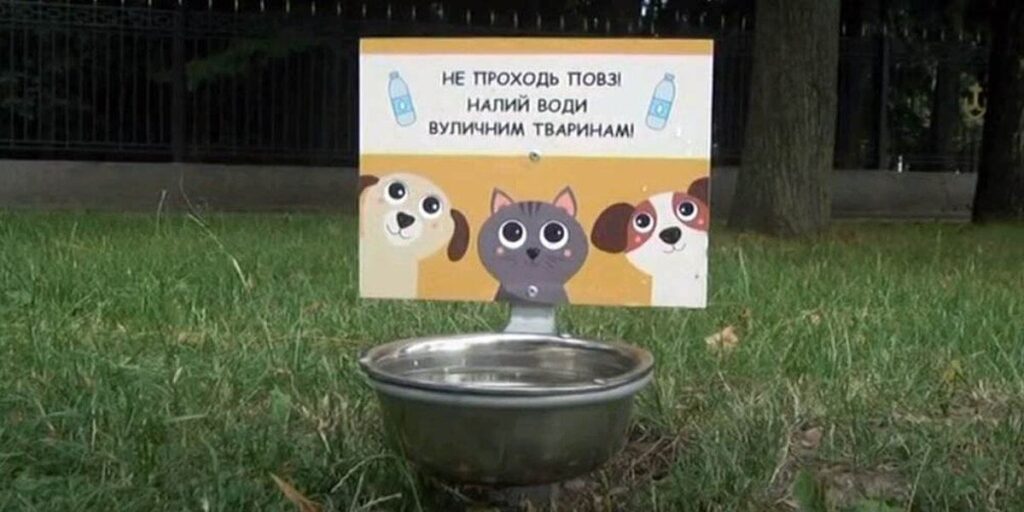 На вулицях Вінниці встановлюють поїлки для вуличних тварин