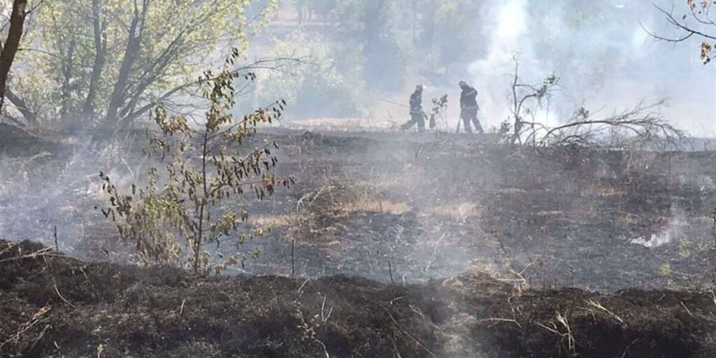 У Жуківцях горіла трава через необережне поводження з вогнем