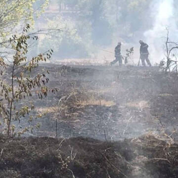 У Жуківцях горіла трава через необережне поводження з вогнем