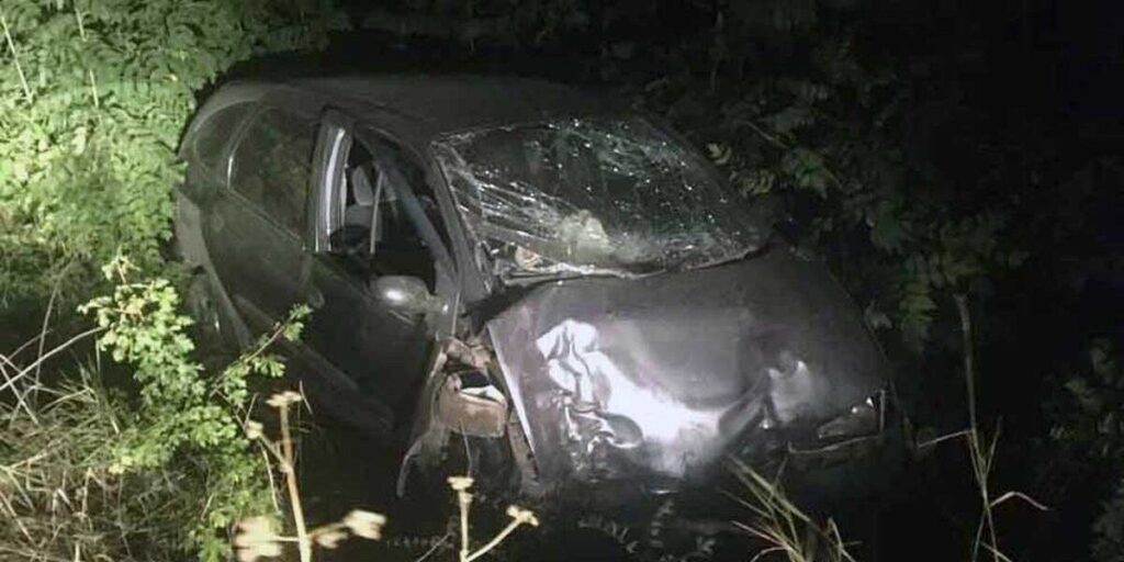 Водій Renault не впорався з керуванням та з’їхав у кювет між селами Митки та Заможне