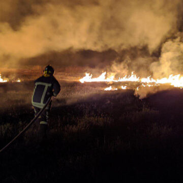 На Вінничині сталось 15 пожеж в екосистемах за добу