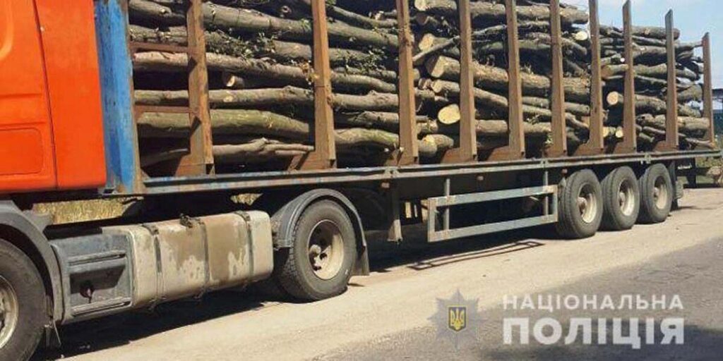 На Вінниччині шукають “чорних” лісорубів та їх помічників
