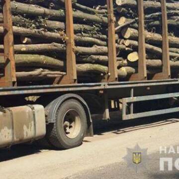 На Вінниччині шукають “чорних” лісорубів та їх помічників
