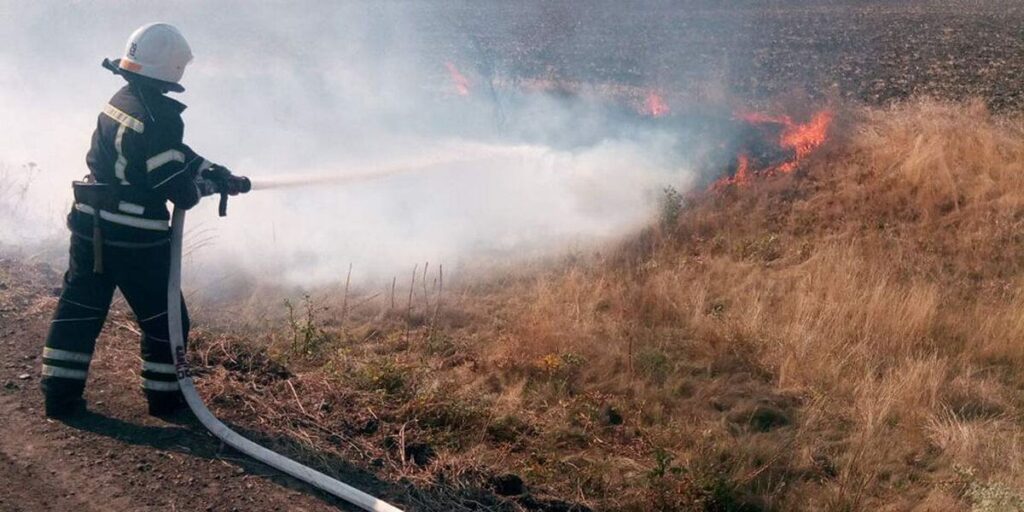 У Вінницькій області за минулу добу ліквідовано 16 пожеж сухої рослинності