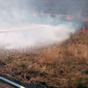 У Вінницькій області за минулу добу ліквідовано 16 пожеж сухої рослинності