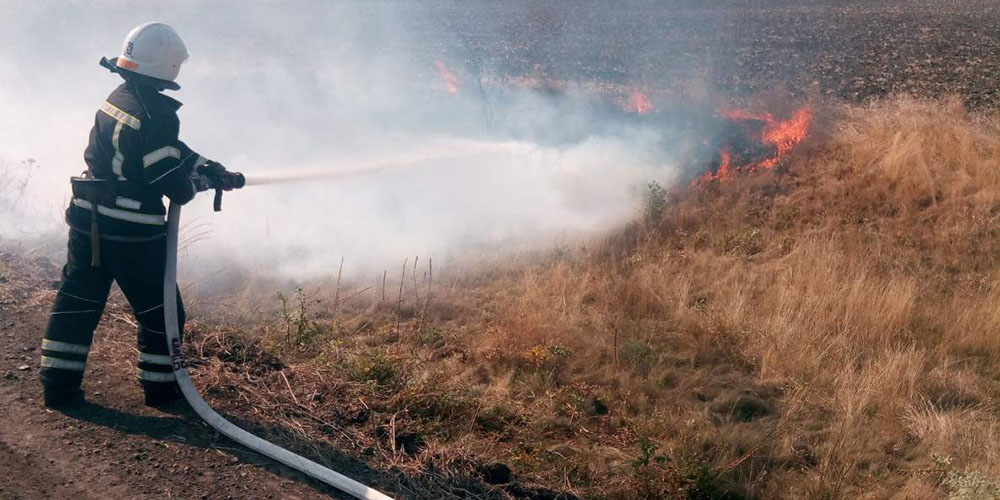 У Вінницькій області за минулу добу ліквідовано 16 пожеж сухої рослинності