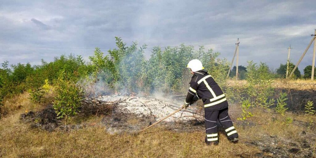 Рятувальники Вінниччини 14 разів за добу виїздили гасити суху траву