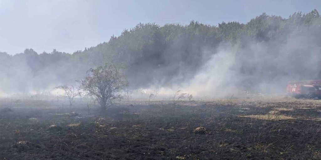 На Вінниччині вогонь знищив 17 гектарів рослинності