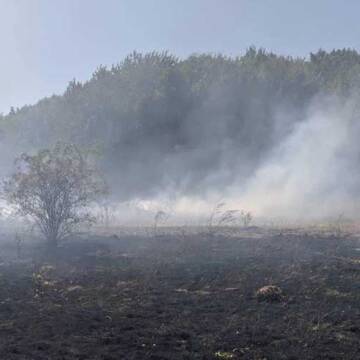 На Вінниччині вогонь знищив 17 гектарів рослинності
