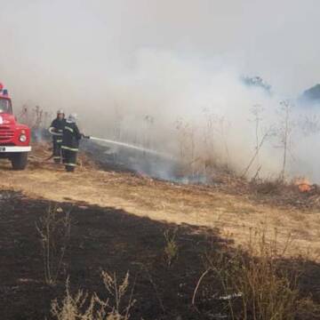 Рятувальники Вінниччини ліквідовували загоряння сухої рослинності в семи районах