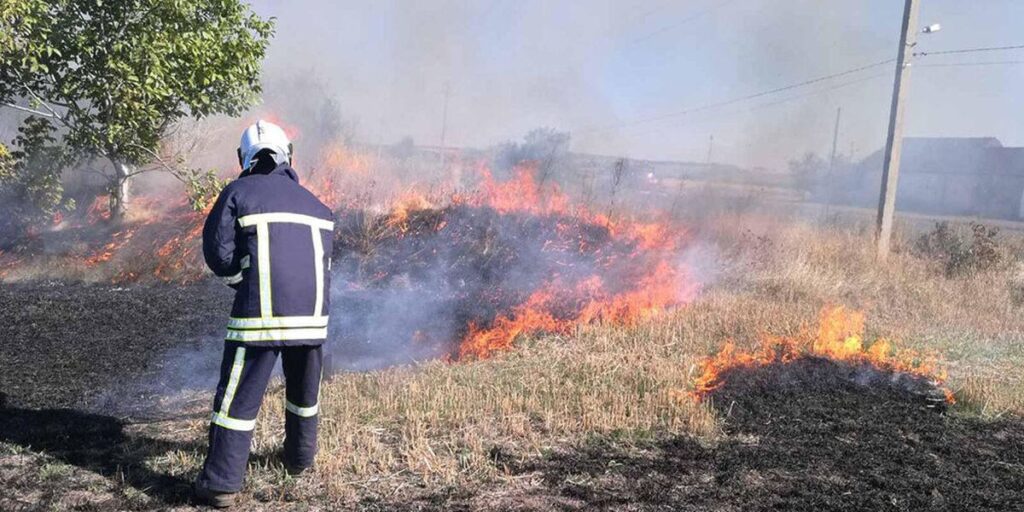 На Вінниччині за добу рятувальники 8 разів гасили пожежі в екосистемах