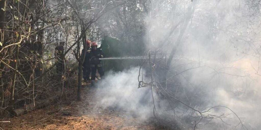 Вогнеборці впродовж кількох годин гасили пожежу неподалік Стрижавки