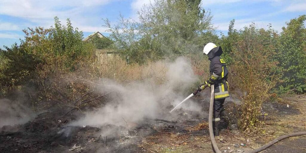 У Вінницькій області за добу ліквідували 9 загорянь сухої рослинності