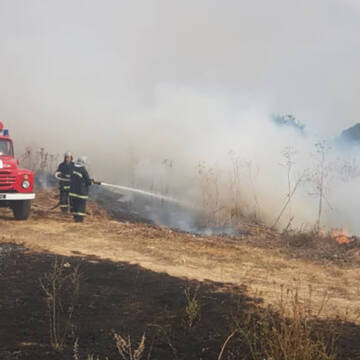 88 вінницьких рятувальників погасили 23 загорянь сухої трави за добу