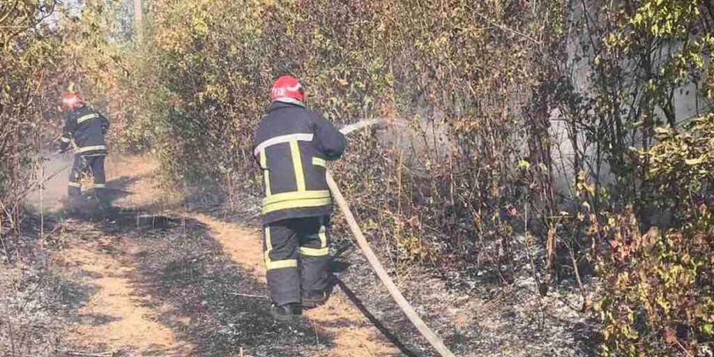 За добу на Вінниччині вогонь знищив більше 22 гектарів сухої трави