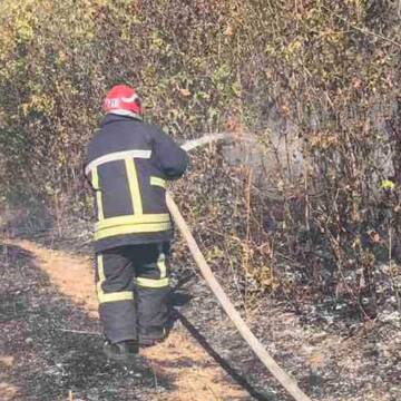 За добу на Вінниччині вогонь знищив більше 22 гектарів сухої трави