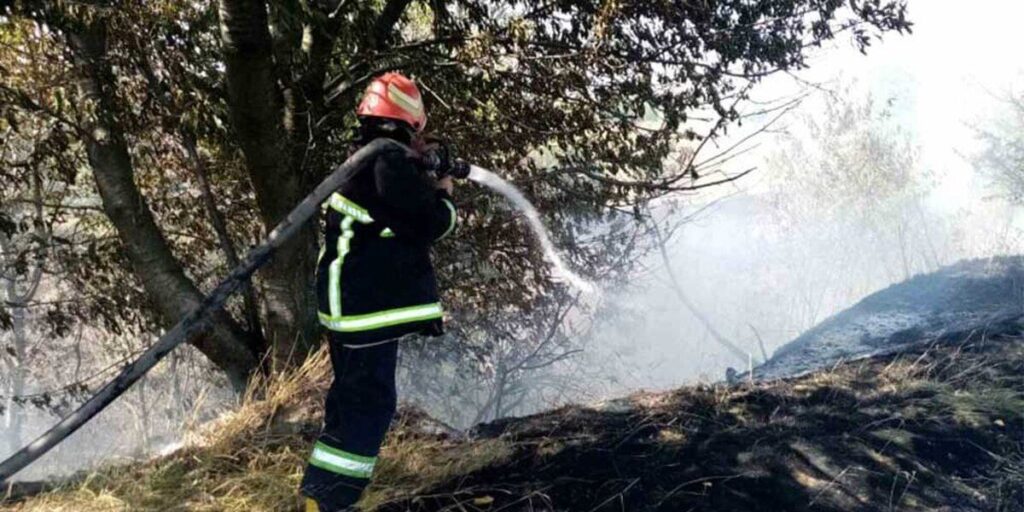 На Вінниччині за добу вигоріло близько 15 гектарів трави