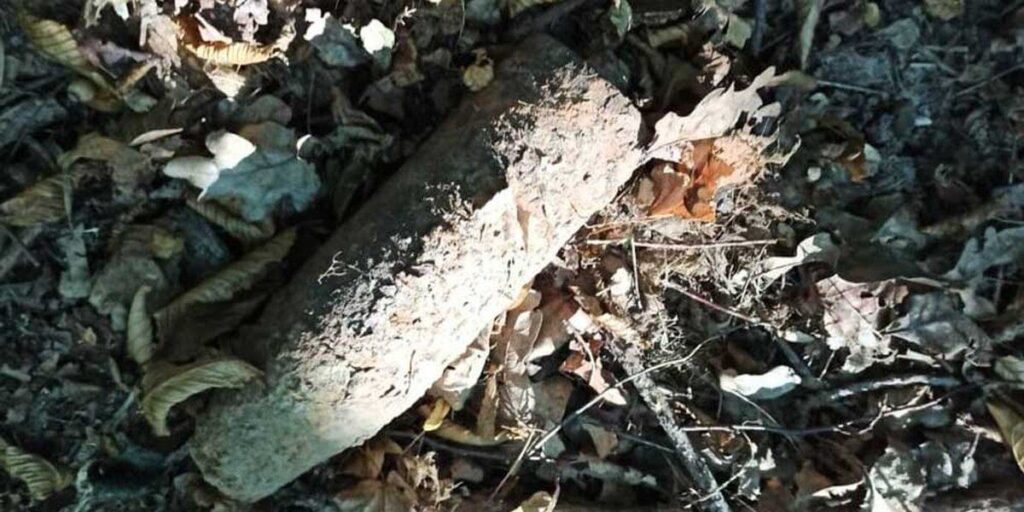 На Вінниччині знайшли артснаряди часів Другої світової війни