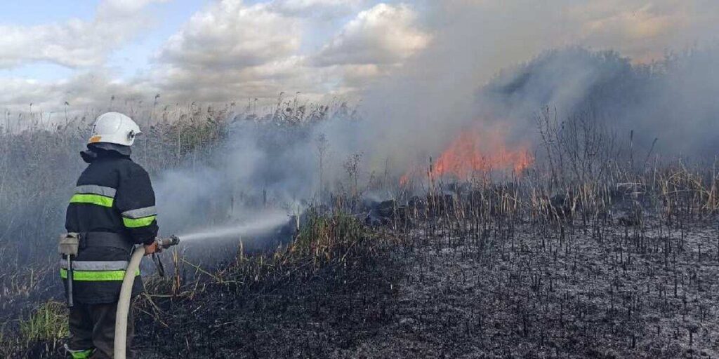 На Вінниччині рятувальники гасили загоряння сухої трави у дев’яти районах