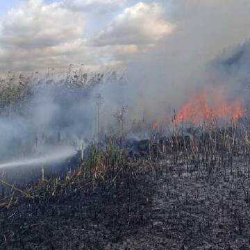 На Вінниччині рятувальники гасили загоряння сухої трави у дев’яти районах