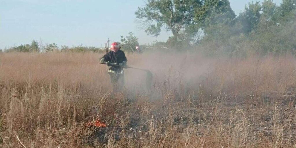 За добу вінницькі рятувальники 5 разів гасили пожежі в екосистемах