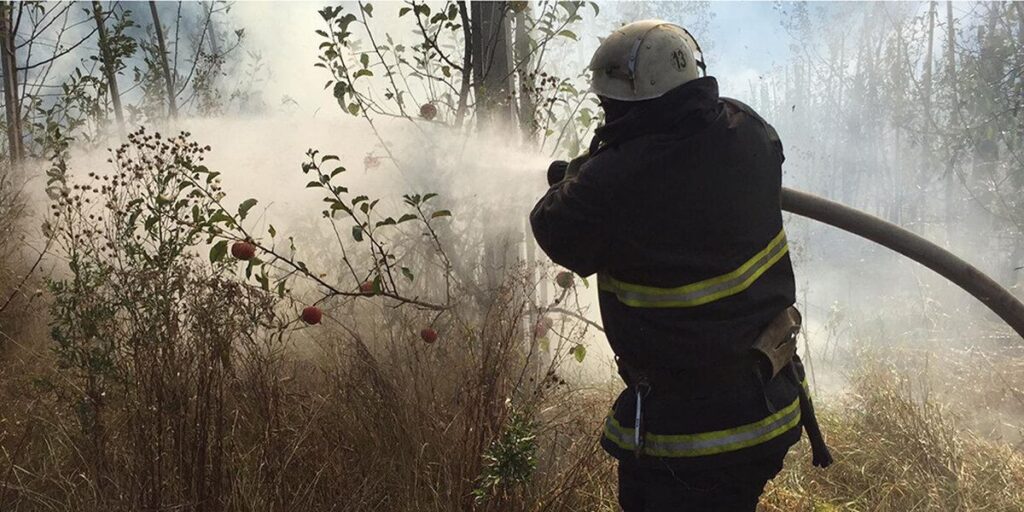 На Вінниччині 13 разів за добу горіла суха трава