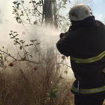 На Вінниччині 13 разів за добу горіла суха трава