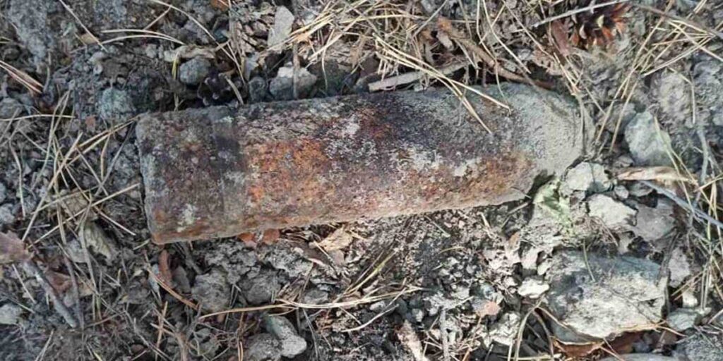 У лісі біля Стадниці знайшли артснаряд